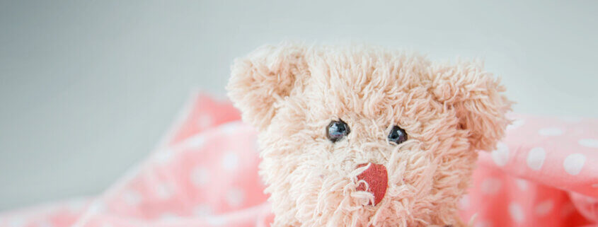 10 things to buy before a foster placement